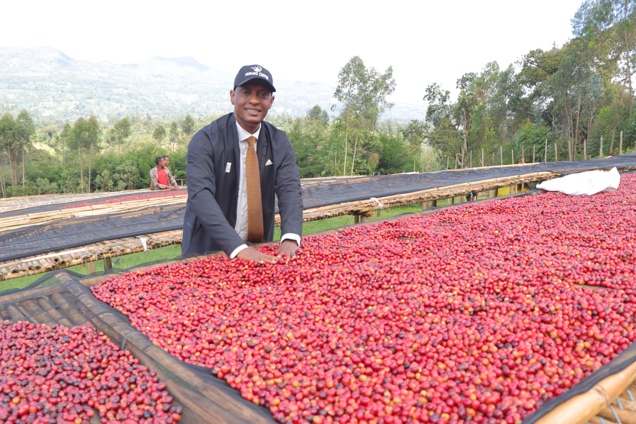 Our Commitment to Sustainability in Coffee Exporting