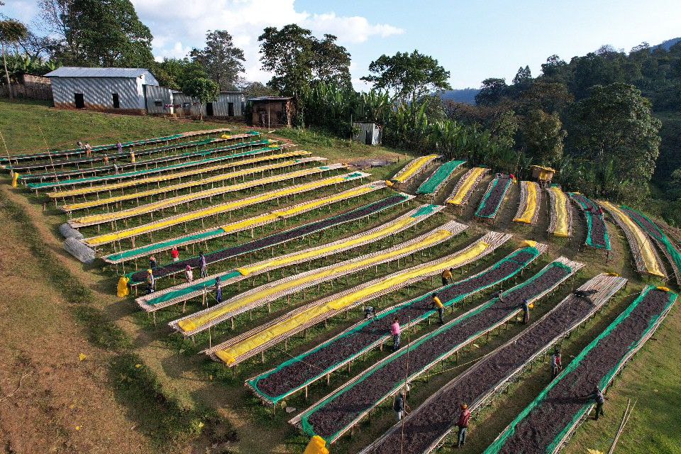 Trusted by Roasters in Europe, Asia & North America